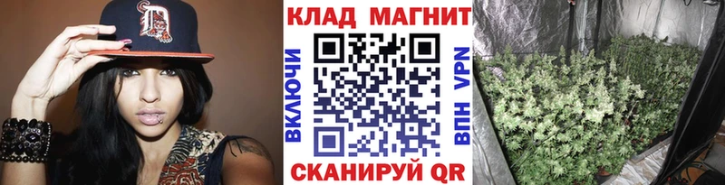 Магазин наркотиков Шуя гидра как войти ГАШИШ COCAIN A PVP Амфетамин
