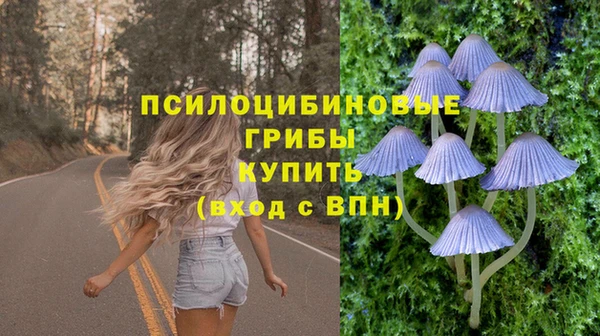 прущий лед Алексин