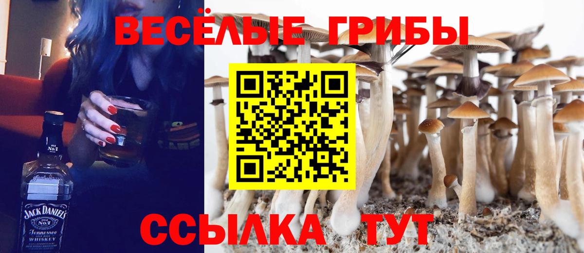хочу   Галлюциногенные грибы GOLDEN TEACHER  Вход с VPN  Шуя 